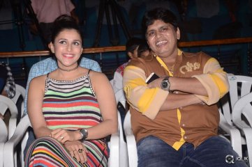 Jakkanna Movie Platinum Disc Function